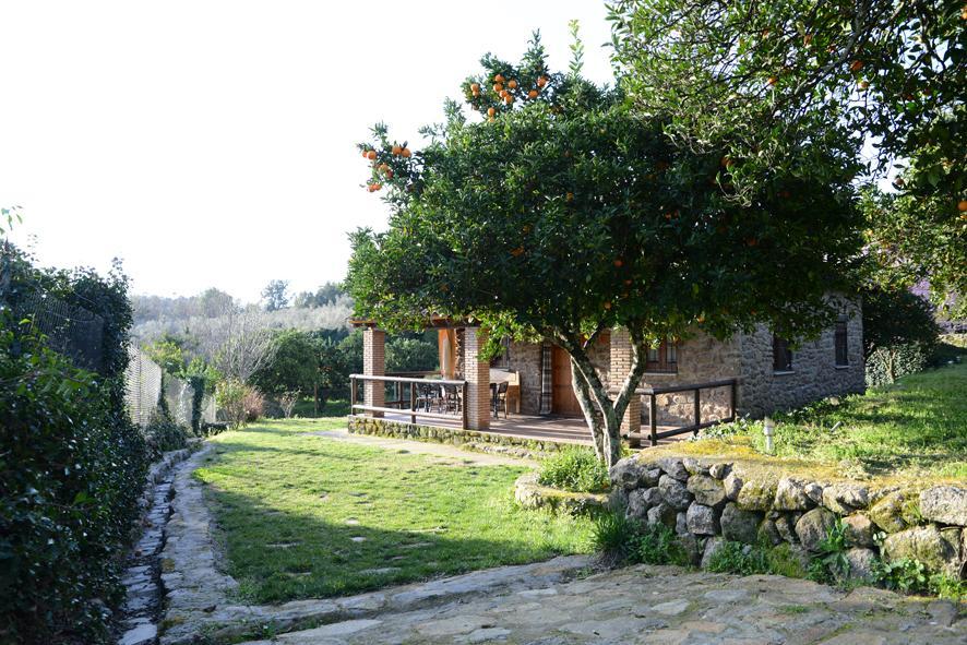 Casa Rural El Pilar Acebo Exteriör bild