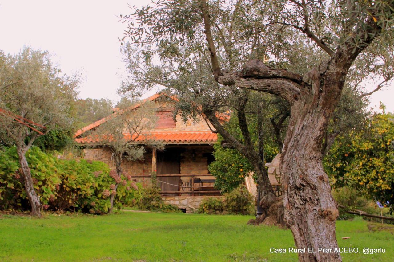 Casa Rural El Pilar Acebo Exteriör bild