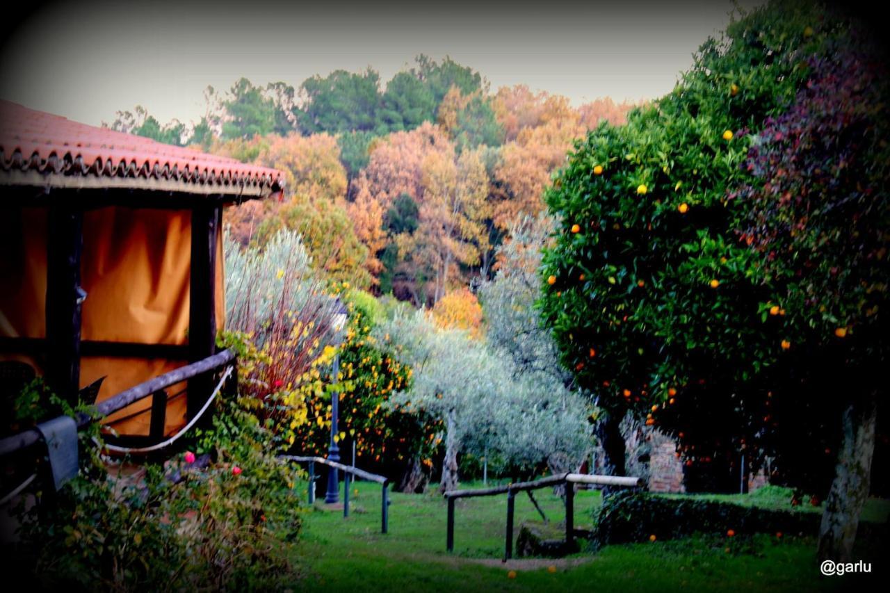 Casa Rural El Pilar Acebo Exteriör bild