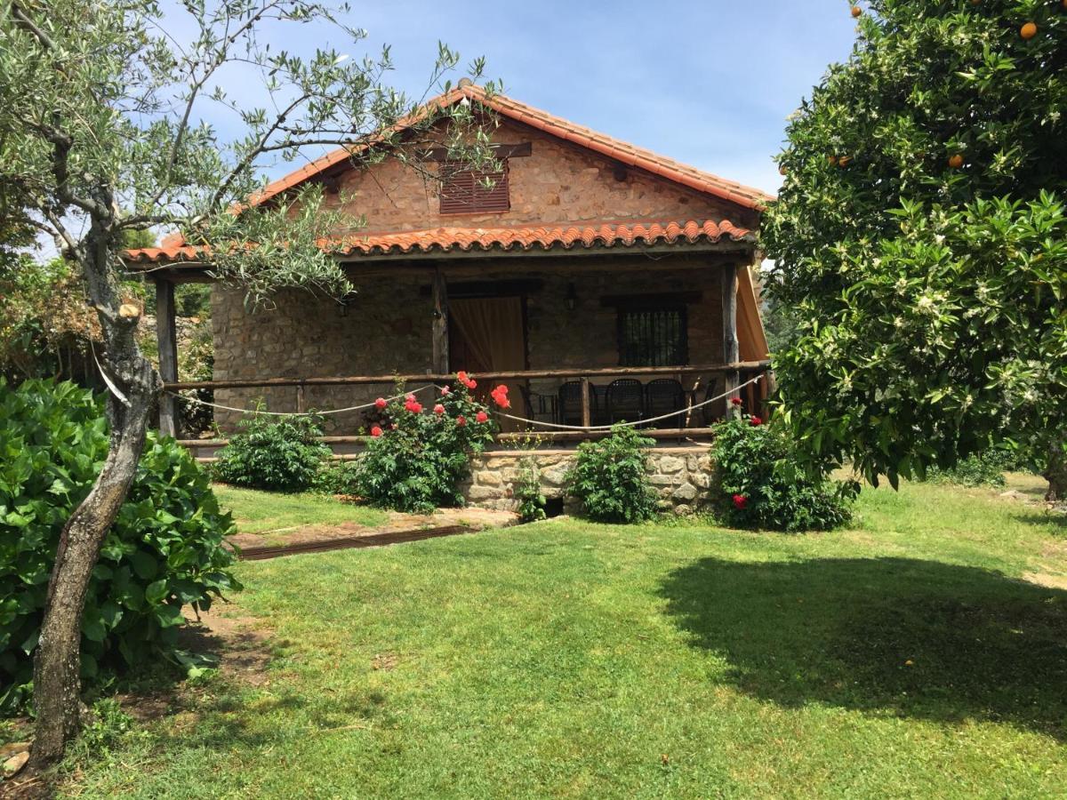 Casa Rural El Pilar Acebo Exteriör bild